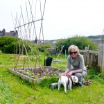 Here's Kate proudly showing off some of the beans she's grown from seed and planted at the allotment. Shelly isn't too impressed, however. Note the glorious compost bin behind her. 